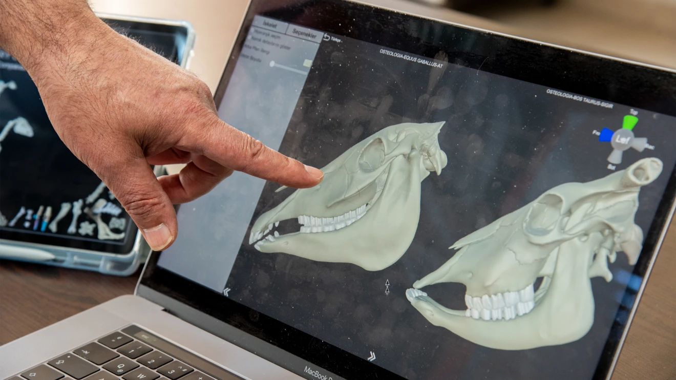 Selçuk Üniversitesinde geliştirilen yazılım, anatomi derslerini kolaylaştıracak 